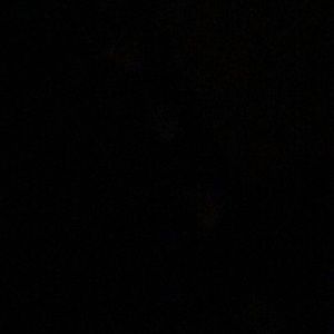 Meet your Posher, Shanequia